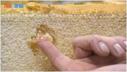 视频丨蜂蜜生产全过程!